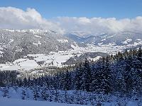 2020-01-20 12.12.02  IICSA���IICSA